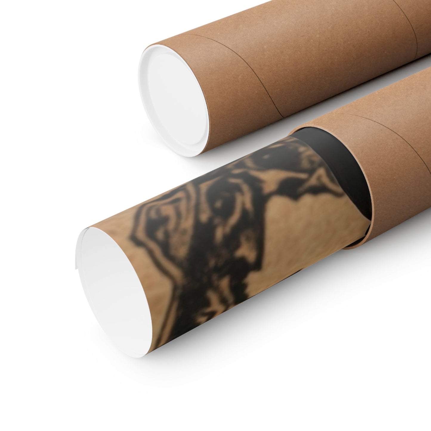 Memento — Raven and Skull Poster