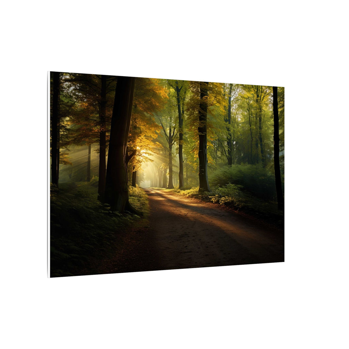 Autumn Corridor Canvas - JG Visual Arts