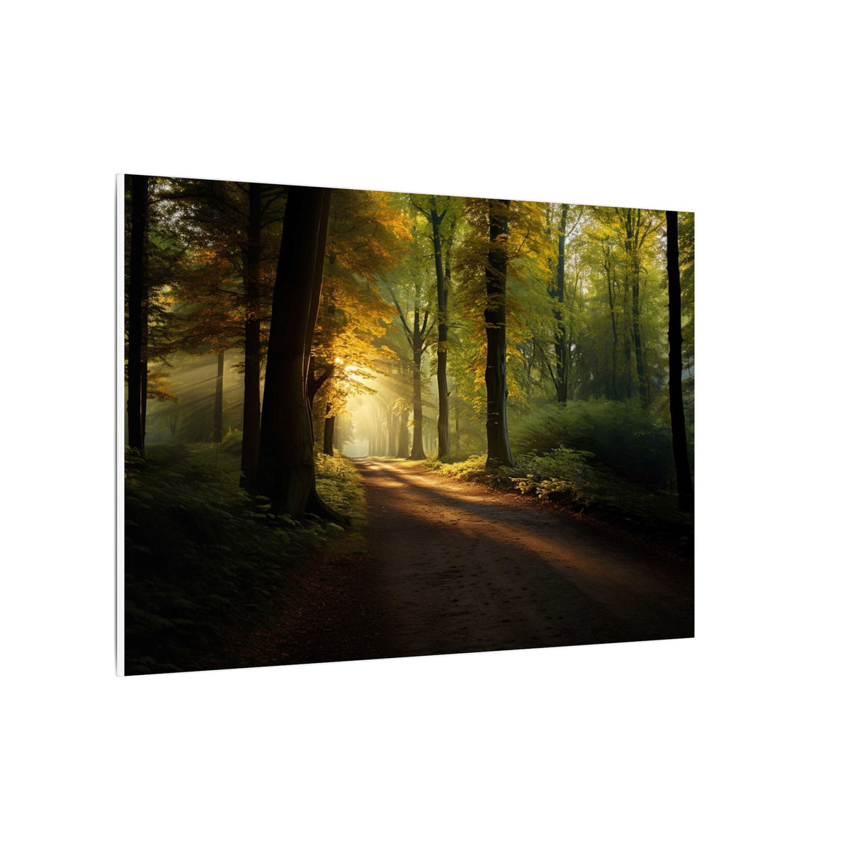 Autumn Corridor Canvas - JG Visual Arts