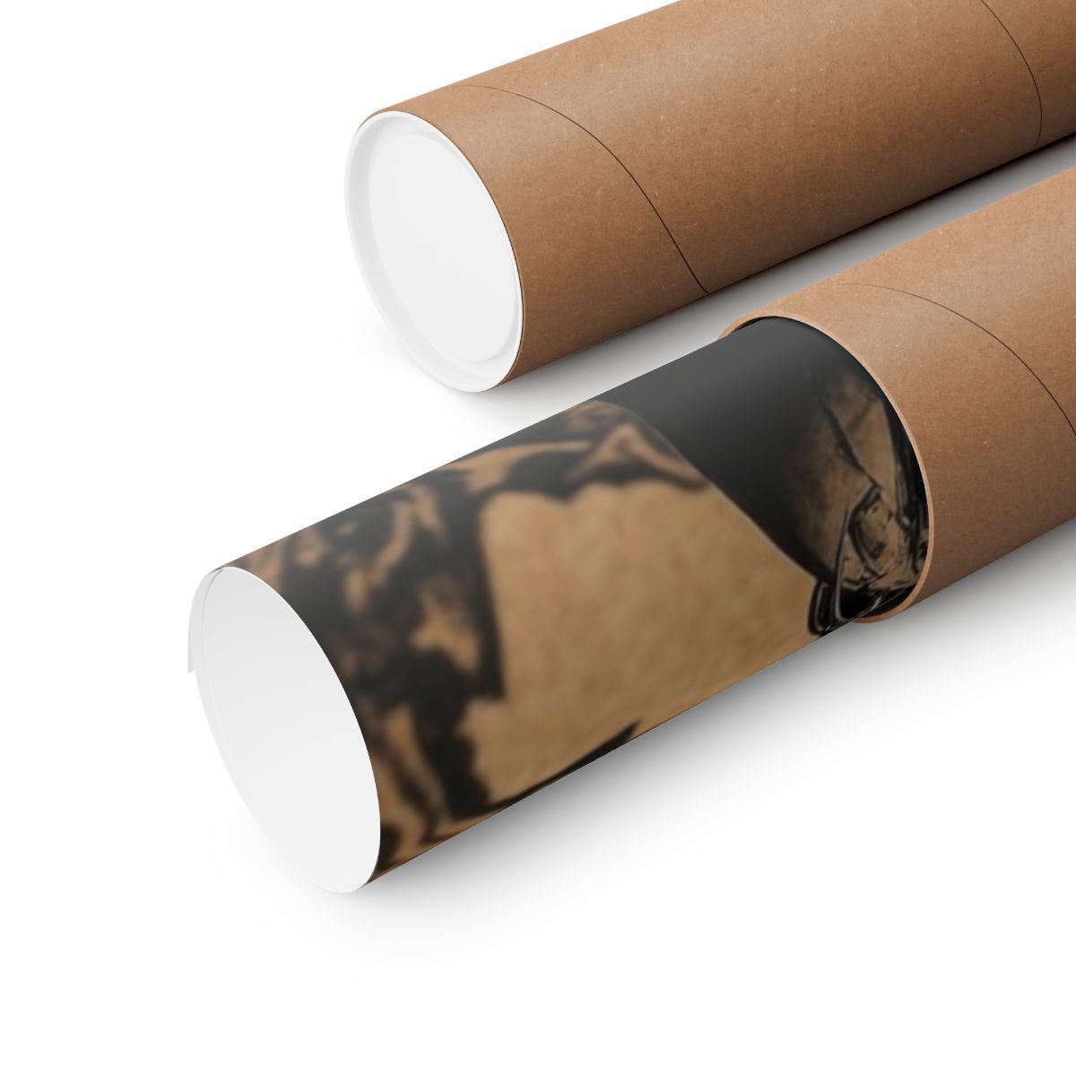 Memento — Raven and Skull Poster - JG Visual Arts