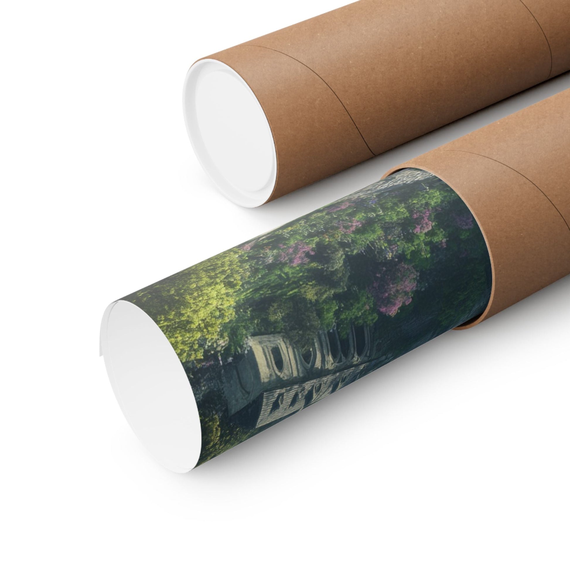 The Overgrown Crown — Castle From Above Poster - JG Visual Arts